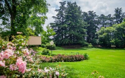 Una villa per retreat aziendali può cambiare il modo di vivere una giornata di lavoro